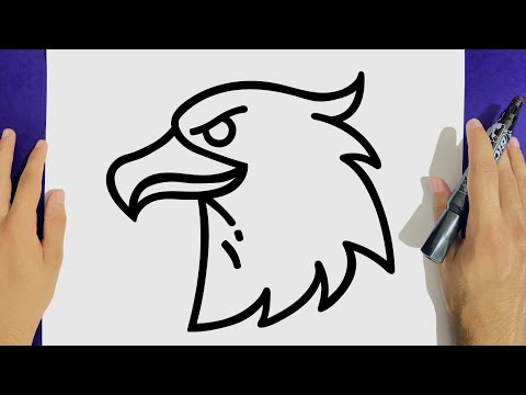 HOW TO DRAW AN EAGLE